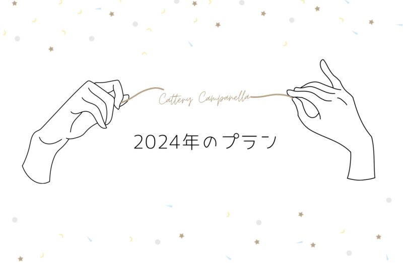 2024年のプラン
